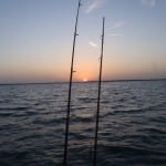 Sunrise between the rods.