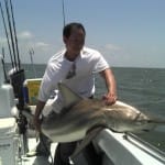 Caught and released a big spinner shark!