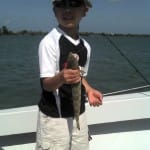 A nice lizard fish!