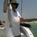 Sea trout.
