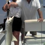 Same shark ... far less scary!